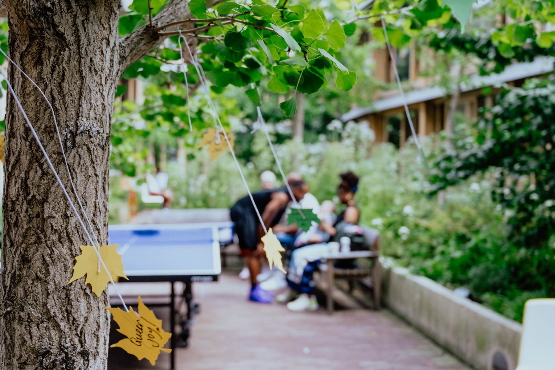 TAF Collective community gathering photograph 15